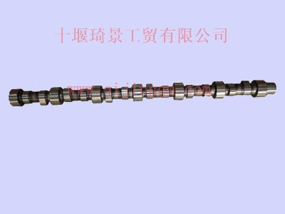 ISLE凸輪軸c3966430&c5283931_東風(fēng)康明斯/cumminsISDe系列發(fā)動(dòng)機(jī)配件