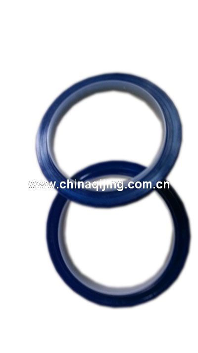 后軸承蓋油封DC12J150T-156
