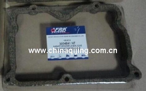 NT855 東風(fēng)配件 東風(fēng)汽車配件 東風(fēng)康明斯發(fā)動(dòng)機(jī)配件 康明斯NT855氣門室墊片 3054841 