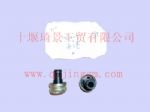 萬里揚C62-867通氣塞646-6029_東風(fēng)變速箱配件