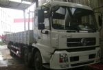 東風(fēng)天錦前四后四 平板車/東風(fēng)天錦6X2國(guó)四貨車 DFL1160B5